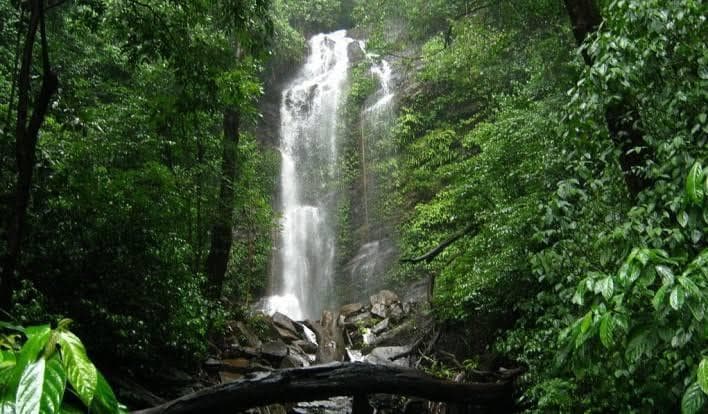 Landscape showing Byndoor's water & wilderness